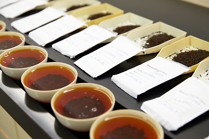 ティーテイスターが茶葉を計る様子