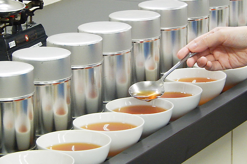 品質管理で紅茶の水色を調べる様子