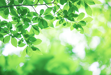 アルバイト採用